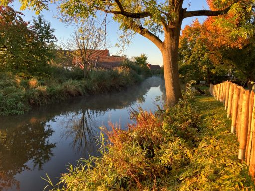 Herbst / Ein Zaun wurde zur Lühe aufgestellt.